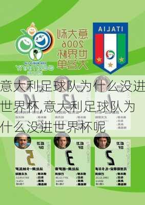 意大利足球队为什么没进世界杯,意大利足球队为什么没进世界杯呢