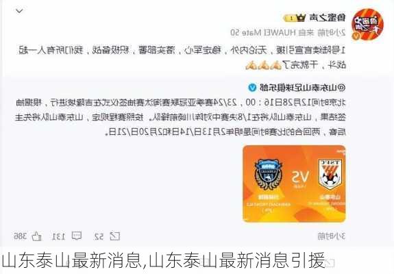 山东泰山最新消息,山东泰山最新消息引援