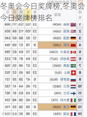 冬奥会今日奖牌榜,冬奥会今日奖牌榜排名
