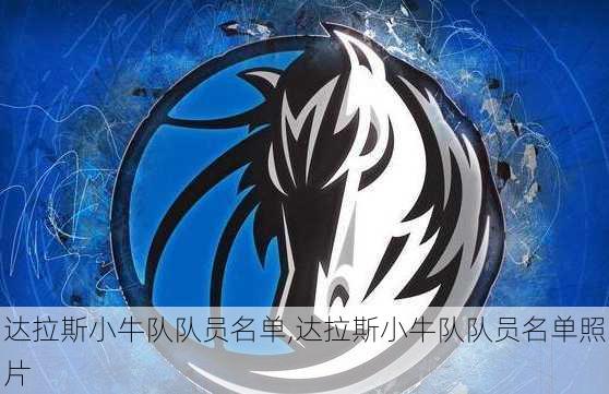 达拉斯小牛队队员名单,达拉斯小牛队队员名单照片