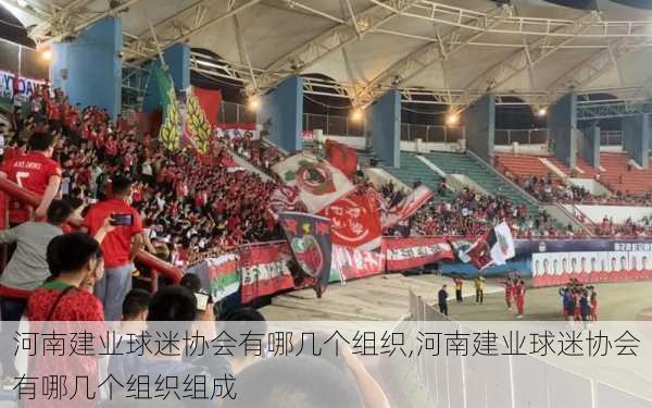 河南建业球迷协会有哪几个组织,河南建业球迷协会有哪几个组织组成