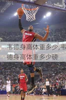 韦德身高体重多少,韦德身高体重多少磅