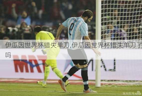 伊瓜因世界杯错失单刀,伊瓜因世界杯错失单刀了吗