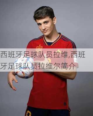 西班牙足球队员拉维,西班牙足球队员拉维尔简介
