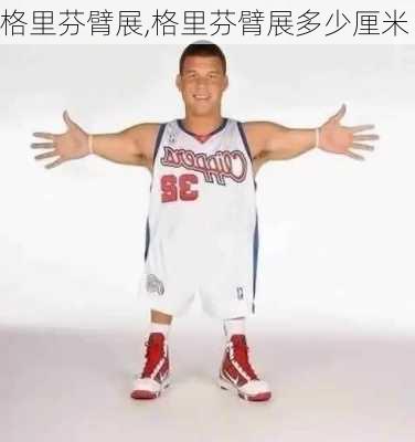 格里芬臂展,格里芬臂展多少厘米