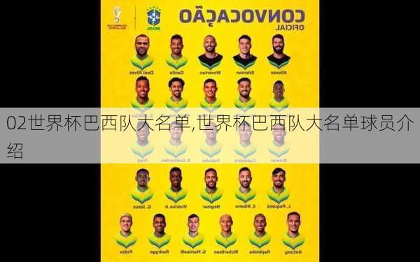 02世界杯巴西队大名单,世界杯巴西队大名单球员介绍