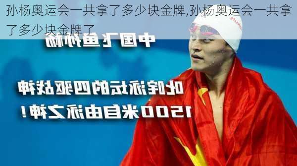 孙杨奥运会一共拿了多少块金牌,孙杨奥运会一共拿了多少块金牌了