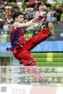 第十三届全运会武术,第十三届全运会武术套路