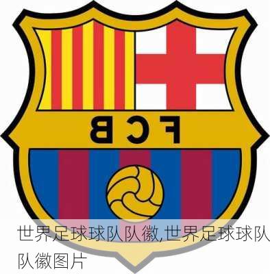 世界足球球队队徽,世界足球球队队徽图片