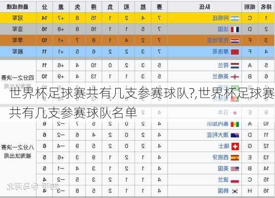 世界杯足球赛共有几支参赛球队?,世界杯足球赛共有几支参赛球队名单