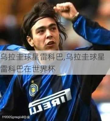 乌拉圭球星雷科巴,乌拉圭球星雷科巴在世界杯