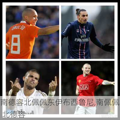 南德容北佩佩东伊布西鲁尼,南佩佩 北德容