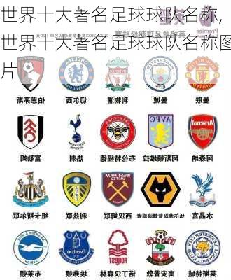 世界十大著名足球球队名称,世界十大著名足球球队名称图片