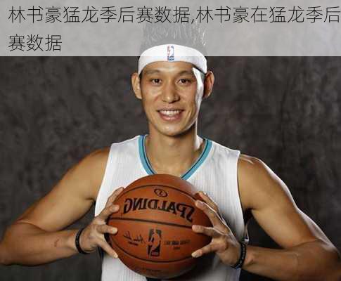 林书豪猛龙季后赛数据,林书豪在猛龙季后赛数据