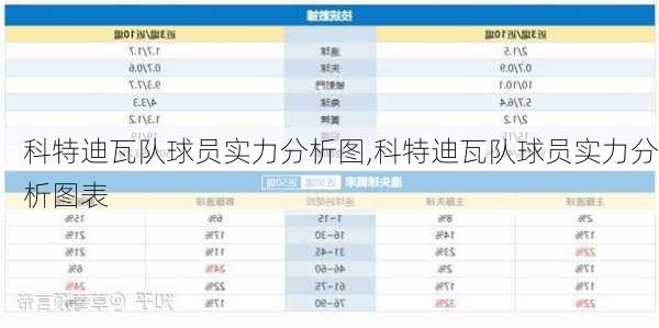 科特迪瓦队球员实力分析图,科特迪瓦队球员实力分析图表