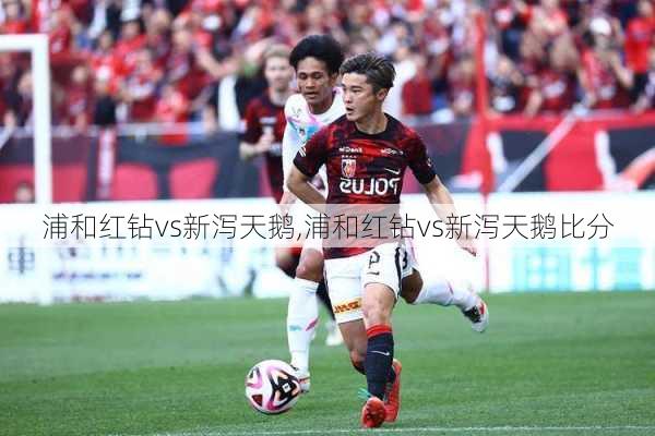 浦和红钻vs新泻天鹅,浦和红钻vs新泻天鹅比分