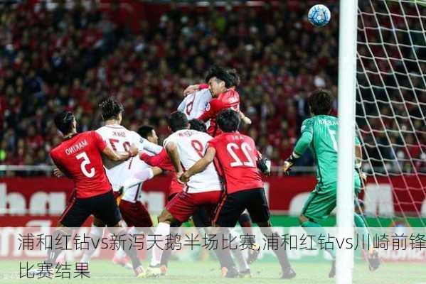 浦和红钻vs新泻天鹅半场比赛,浦和红钻vs川崎前锋比赛结果