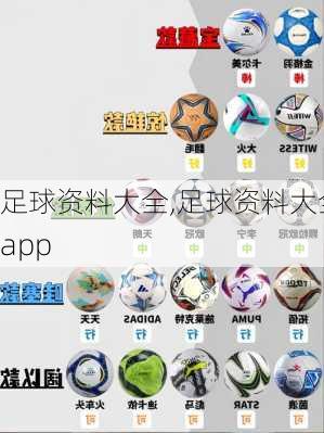 足球资料大全,足球资料大全app