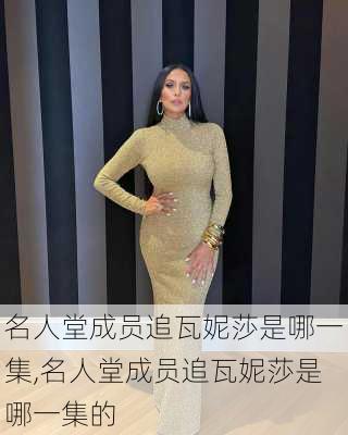 名人堂成员追瓦妮莎是哪一集,名人堂成员追瓦妮莎是哪一集的