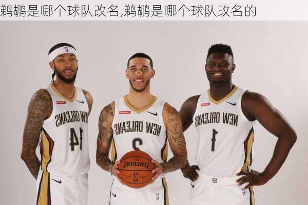 鹈鹕是哪个球队改名,鹈鹕是哪个球队改名的
