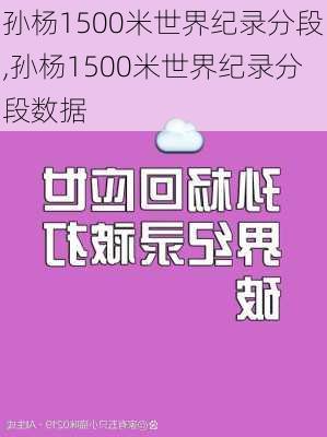 孙杨1500米世界纪录分段,孙杨1500米世界纪录分段数据
