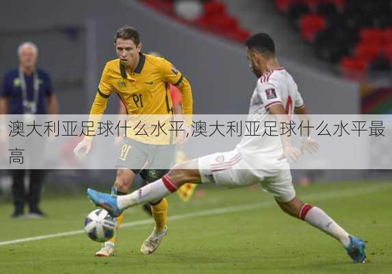澳大利亚足球什么水平,澳大利亚足球什么水平最高