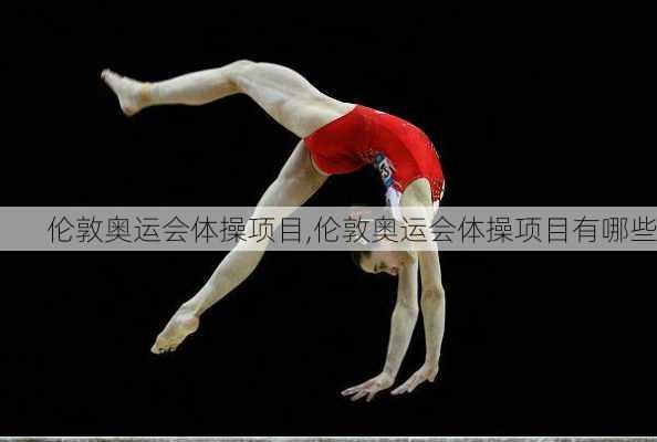 伦敦奥运会体操项目,伦敦奥运会体操项目有哪些