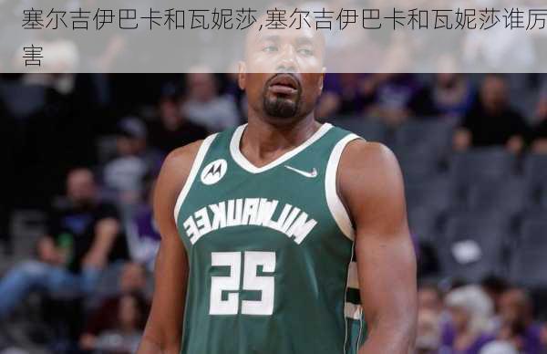 塞尔吉伊巴卡和瓦妮莎,塞尔吉伊巴卡和瓦妮莎谁厉害