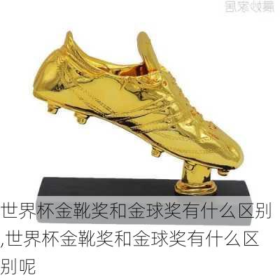 世界杯金靴奖和金球奖有什么区别,世界杯金靴奖和金球奖有什么区别呢