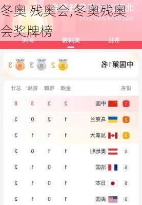 冬奥 残奥会,冬奥残奥会奖牌榜