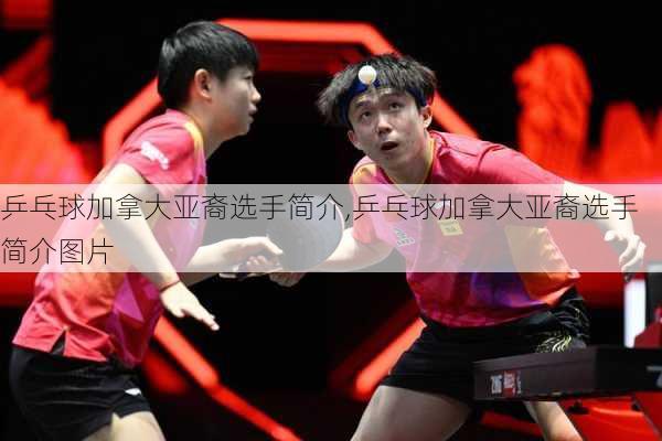 乒乓球加拿大亚裔选手简介,乒乓球加拿大亚裔选手简介图片