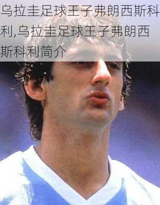 乌拉圭足球王子弗朗西斯科利,乌拉圭足球王子弗朗西斯科利简介
