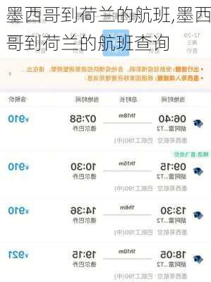 墨西哥到荷兰的航班,墨西哥到荷兰的航班查询