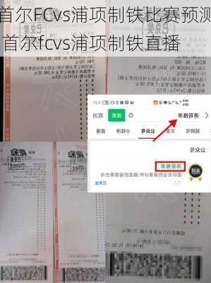 首尔FCvs浦项制铁比赛预测,首尔fcvs浦项制铁直播