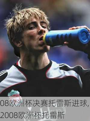 08欧洲杯决赛托雷斯进球,2008欧洲杯托雷斯