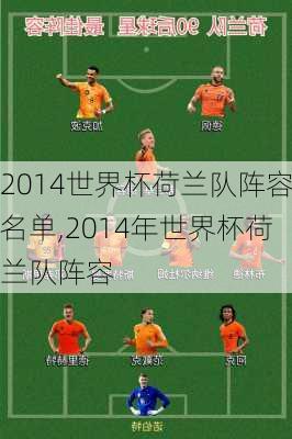 2014世界杯荷兰队阵容名单,2014年世界杯荷兰队阵容