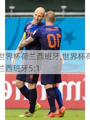 世界杯荷兰西班牙,世界杯荷兰西班牙5:1