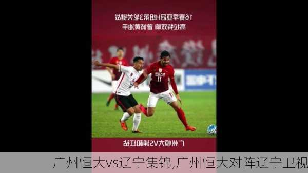 广州恒大vs辽宁集锦,广州恒大对阵辽宁卫视