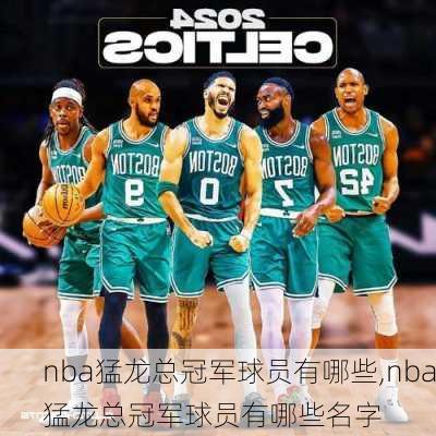 nba猛龙总冠军球员有哪些,nba猛龙总冠军球员有哪些名字