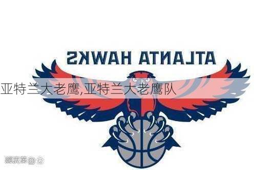 亚特兰大老鹰,亚特兰大老鹰队