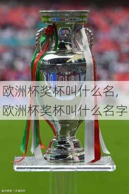 欧洲杯奖杯叫什么名,欧洲杯奖杯叫什么名字