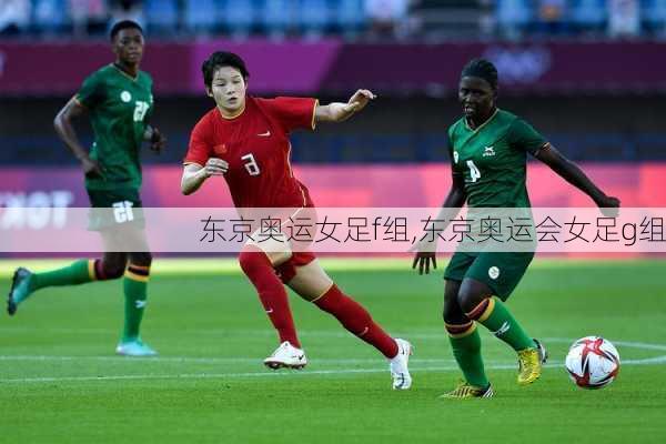 东京奥运女足f组,东京奥运会女足g组