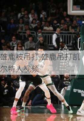 雄鹿被吊打,雄鹿吊打凯尔特人视频