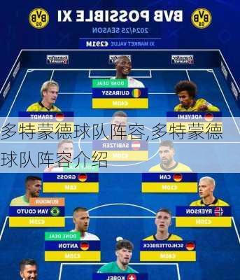多特蒙德球队阵容,多特蒙德球队阵容介绍