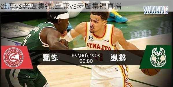 雄鹿vs老鹰集锦,雄鹿vs老鹰集锦直播