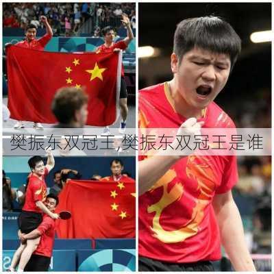 樊振东双冠王,樊振东双冠王是谁