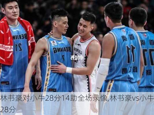 林书豪对小牛28分14助全场录像,林书豪vs小牛28分