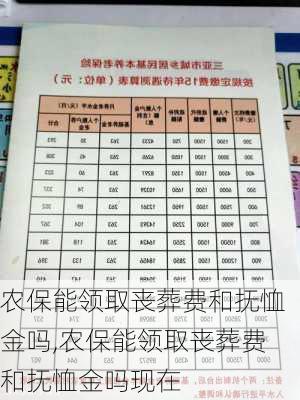 农保能领取丧葬费和抚恤金吗,农保能领取丧葬费和抚恤金吗现在