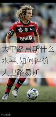 大卫路易斯什么水平,如何评价大卫路易斯