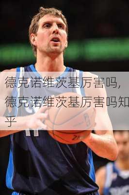 德克诺维茨基厉害吗,德克诺维茨基厉害吗知乎